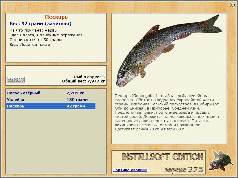 Ладога 