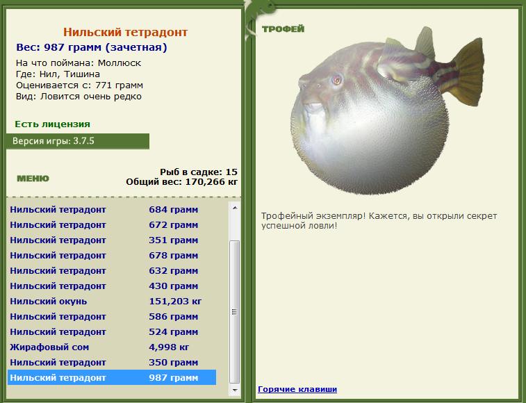 Ротан 