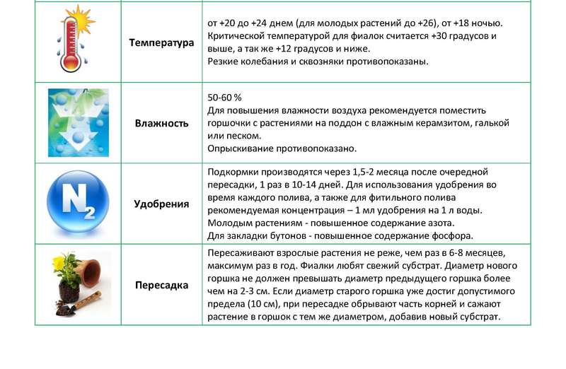 Book Nanowires Science