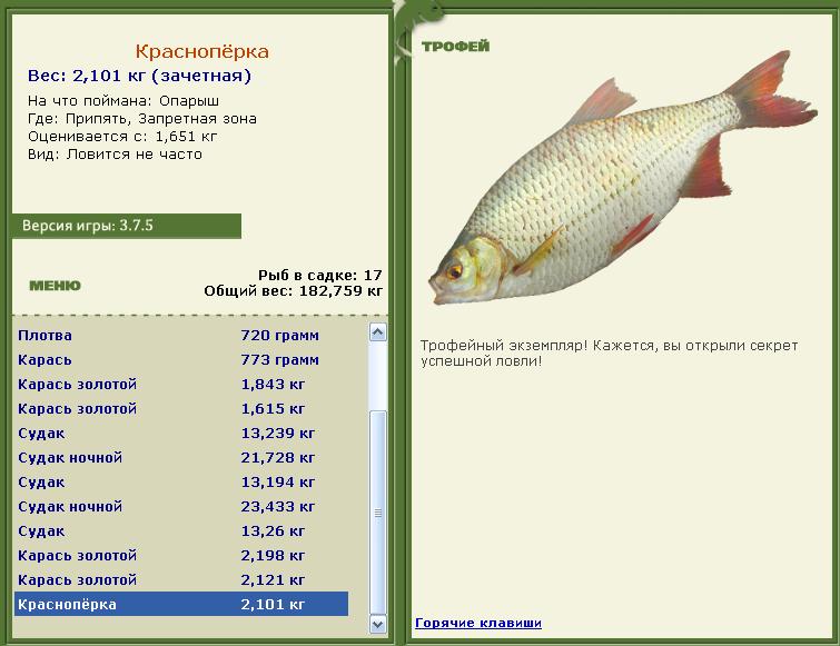 турниры • РУССКАЯ РЫБАЛКА