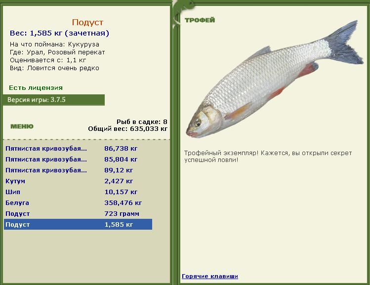 Розовый перекат 