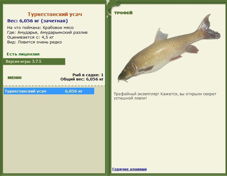 Севанская храмуля 