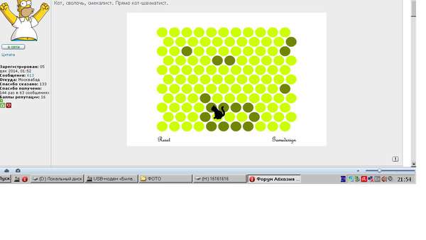 Игра поймай кота