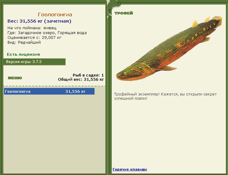 Озёрная форель 
