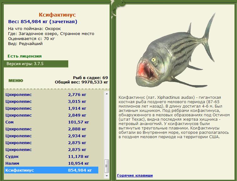 Сундук сокровищ 