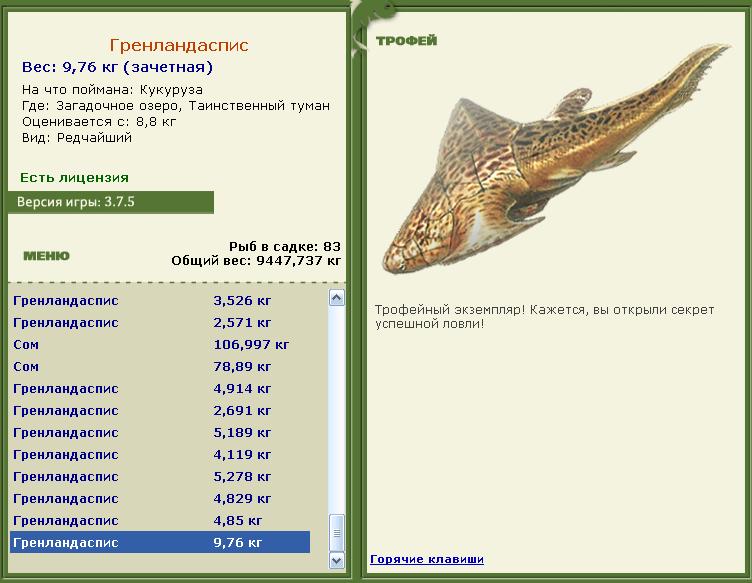 Чир 