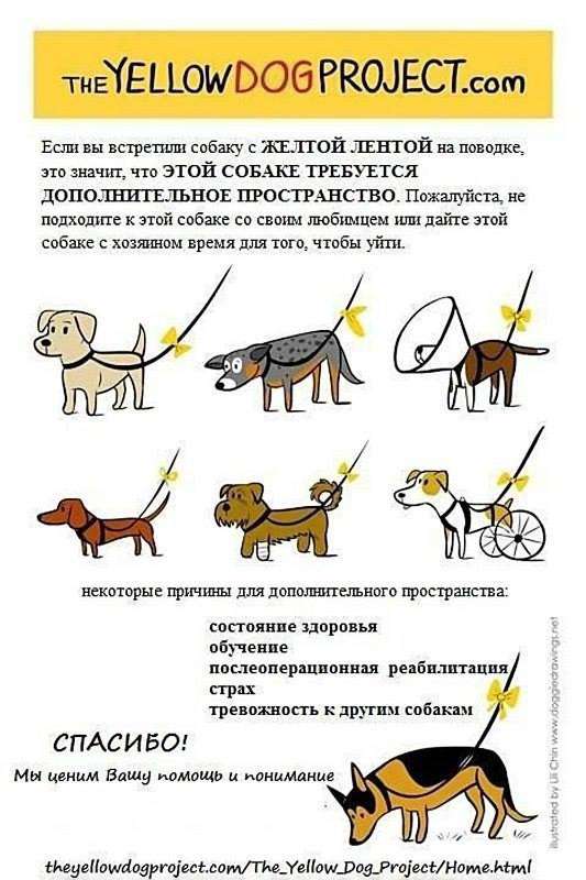 DOGLIKE Мяч с лентой большой для собак коралловый