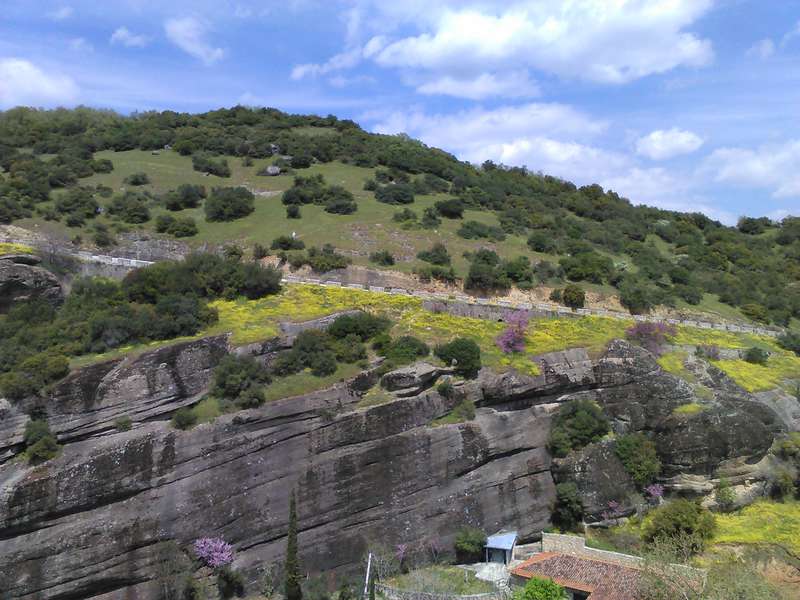 Греция глазами цветовода.