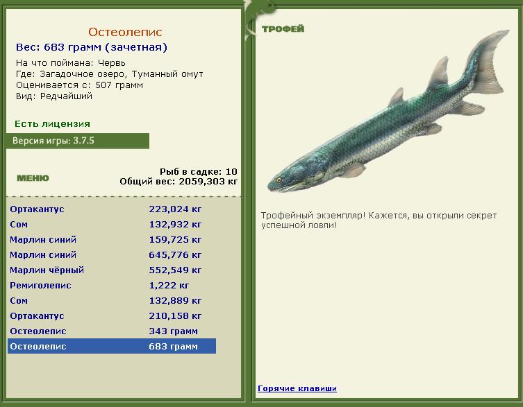 Сом 