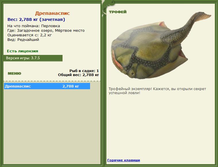 Галапагосская акула 