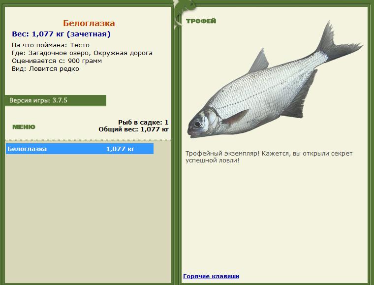 Сиамский карп 