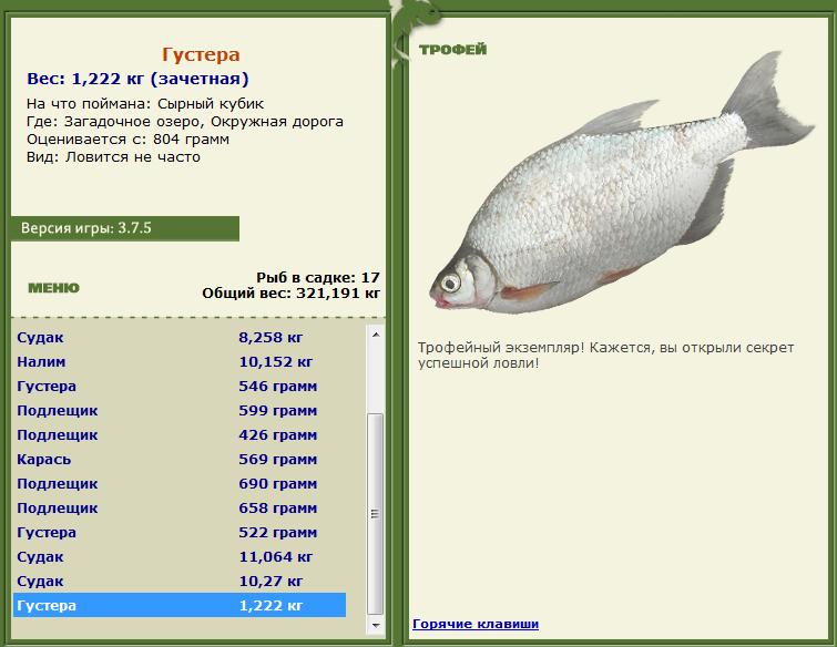 Сиамский карп 