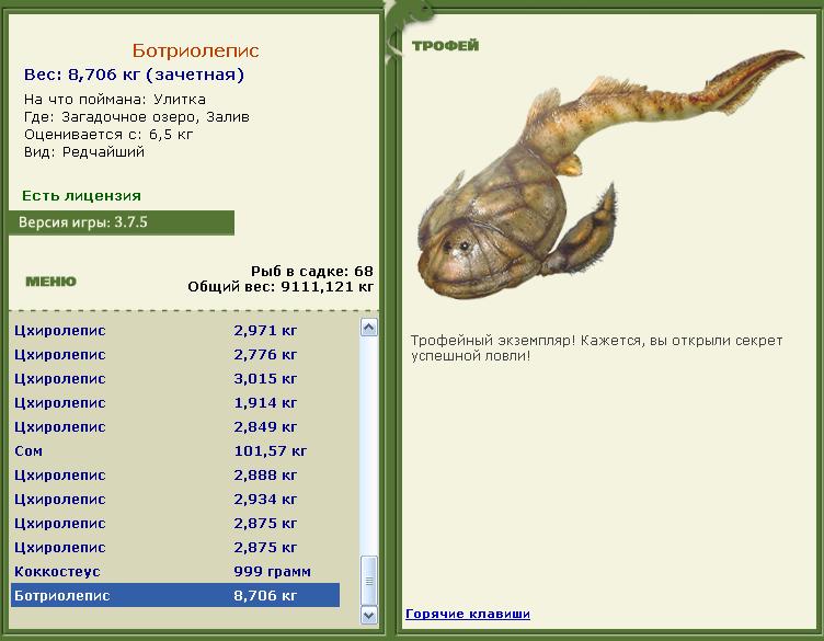 Ортакантус 