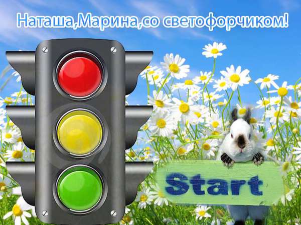 Светофор для дембеля картинки