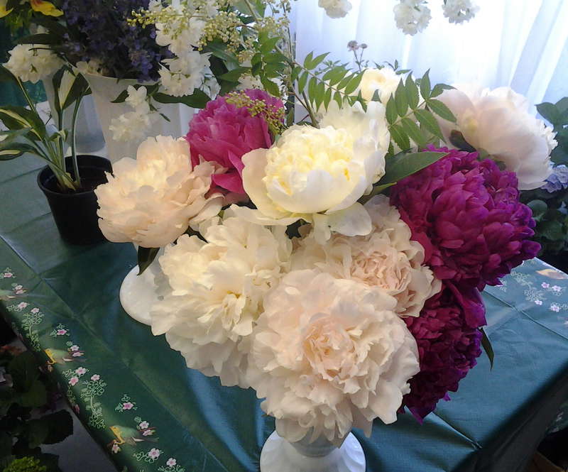 20 лет  выставкам цветов в г.Казани