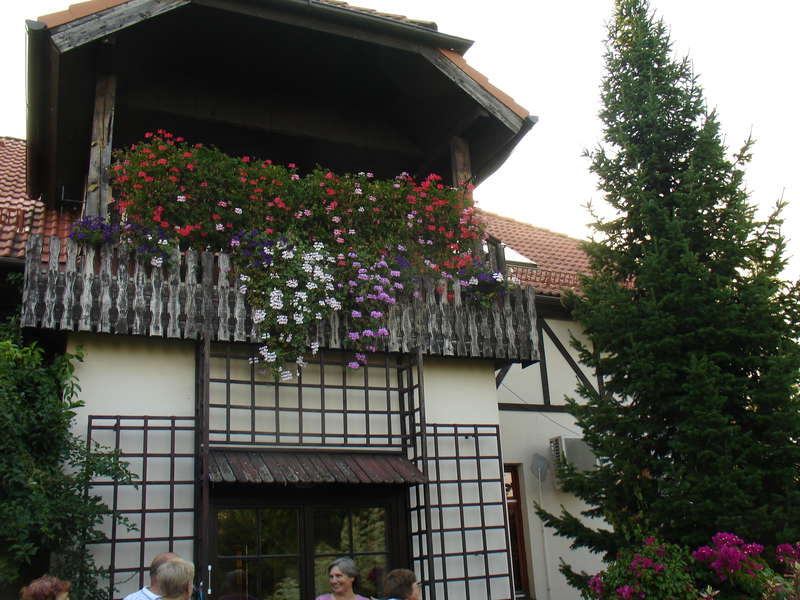 20 лет  выставкам цветов в г.Казани