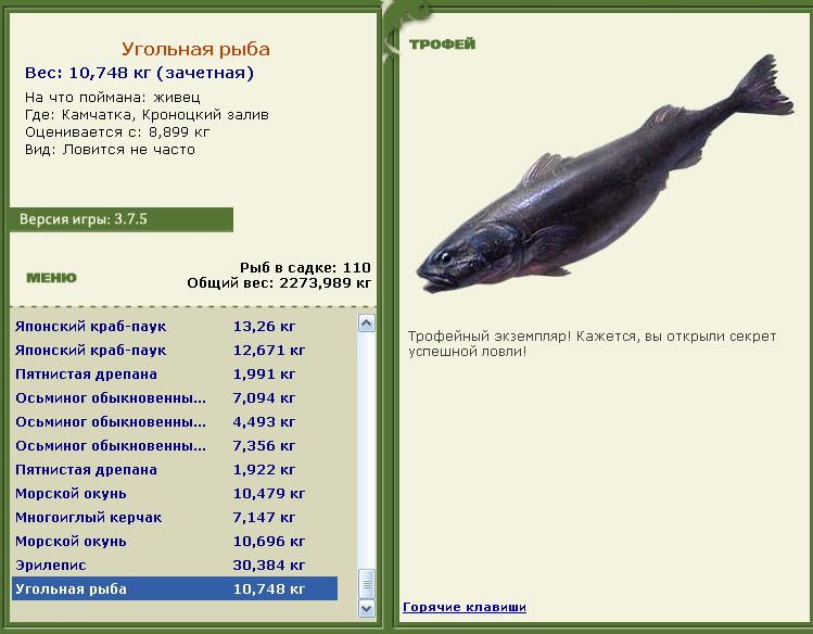 Кроноцкий залив 