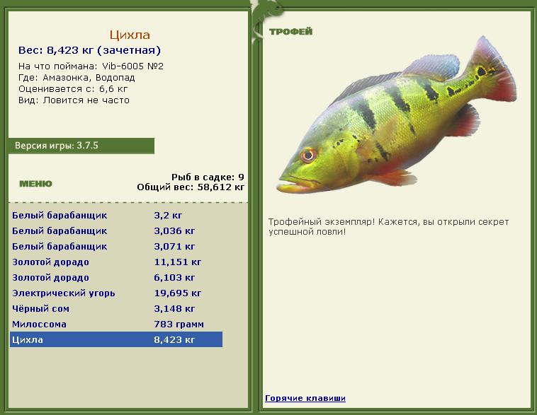 Сиамский карп 