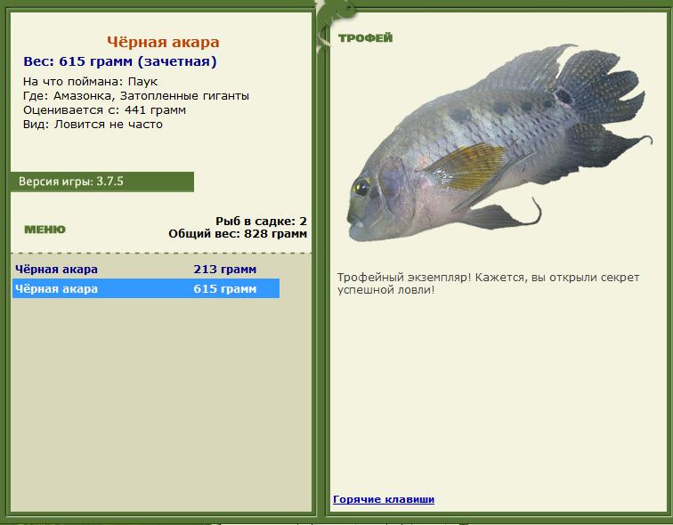 Сиамский карп 