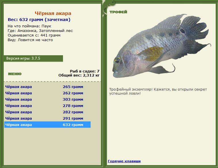 Сиамский карп 