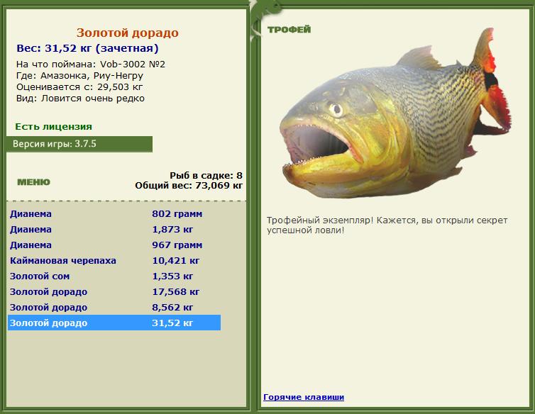 Сиамский карп 