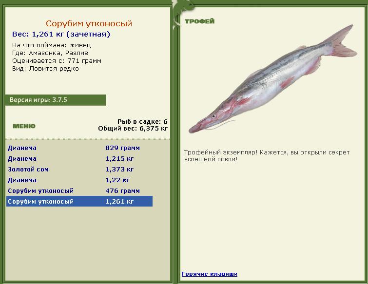 Чир 