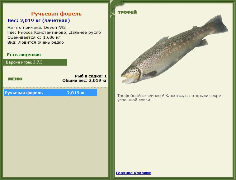 Сиамский карп 