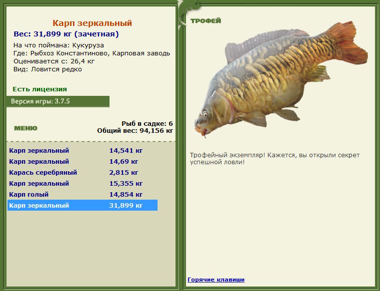 Сиамский карп 