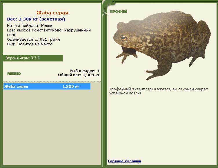 Сиамский карп 
