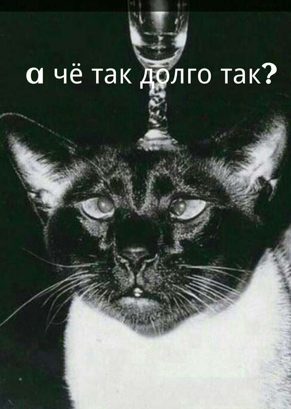  Страница 7 -