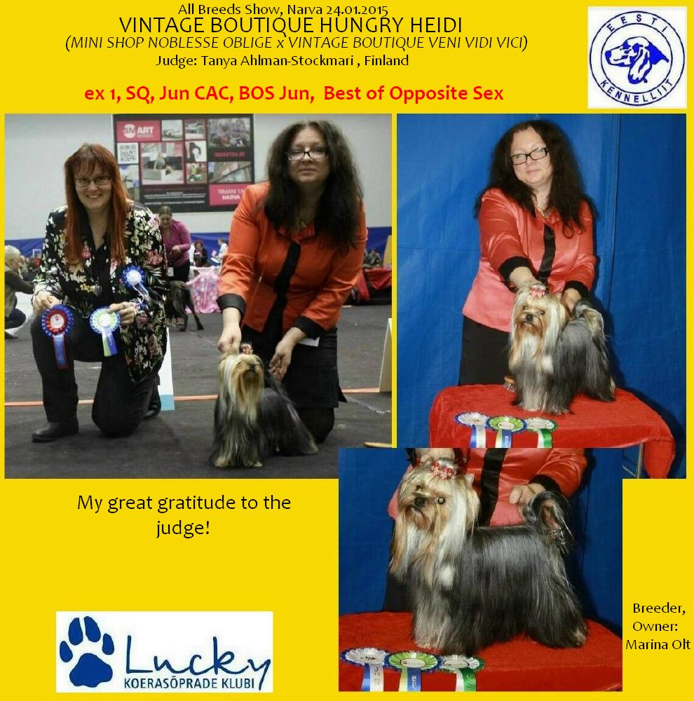 Йоркширский терьер в Эстонии! 