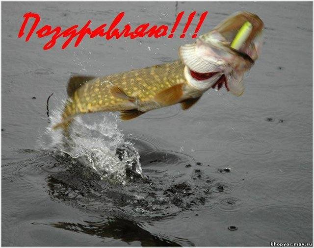  Страница 2 -