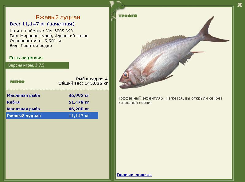 Ржавый луциан 