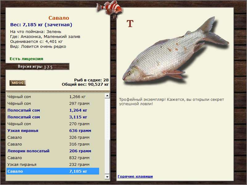 РУССКАЯ РЫБАЛКА Installsoft Edition 