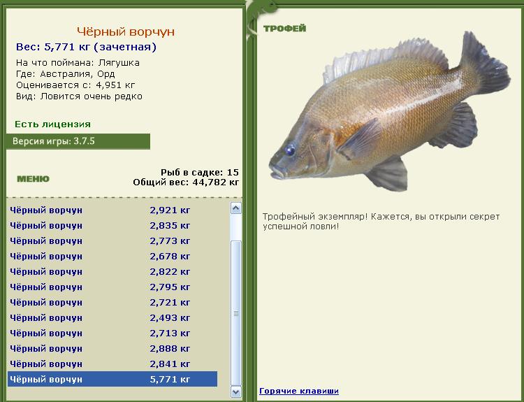 Кроноцкий залив 