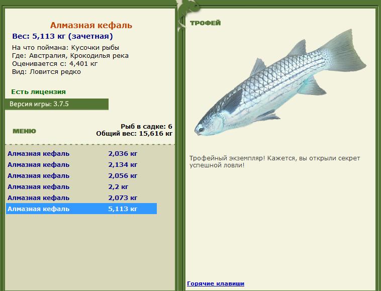 Кроноцкий залив 