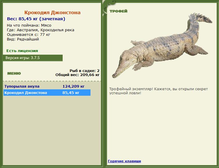 Кроноцкий залив 