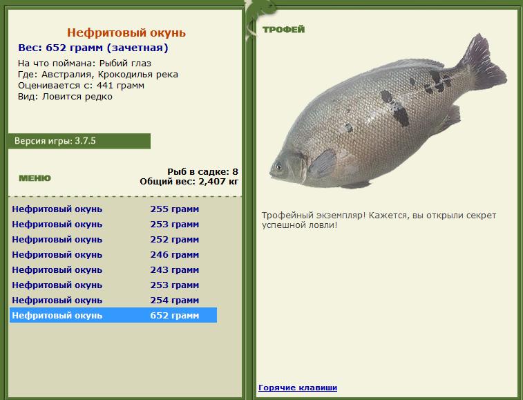 Кроноцкий залив 