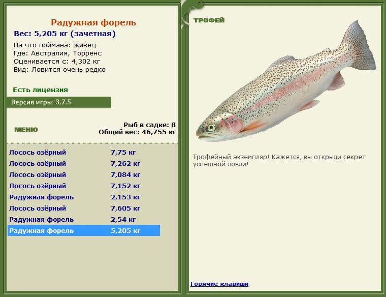 Кроноцкий залив 