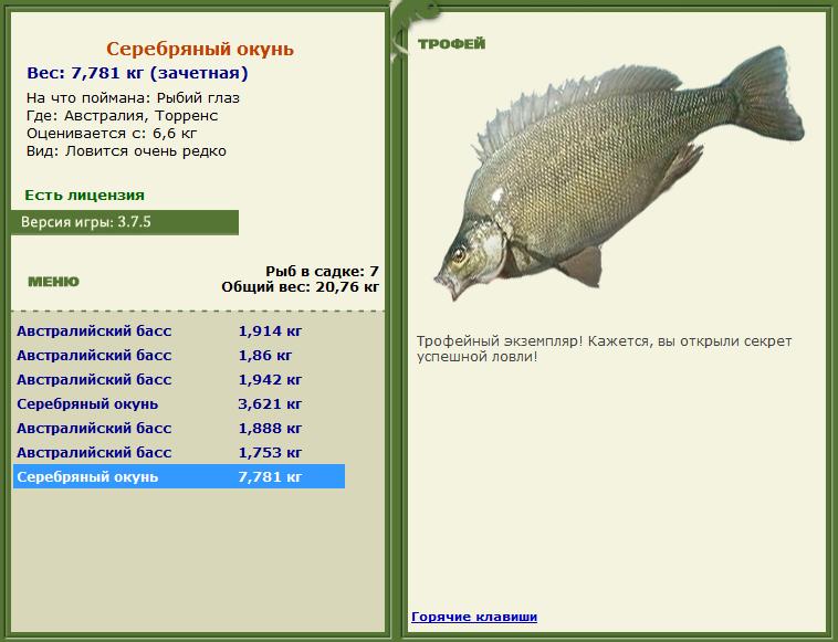 Кроноцкий залив 