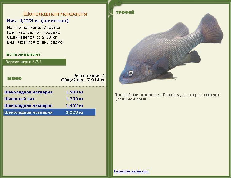 Кроноцкий залив 