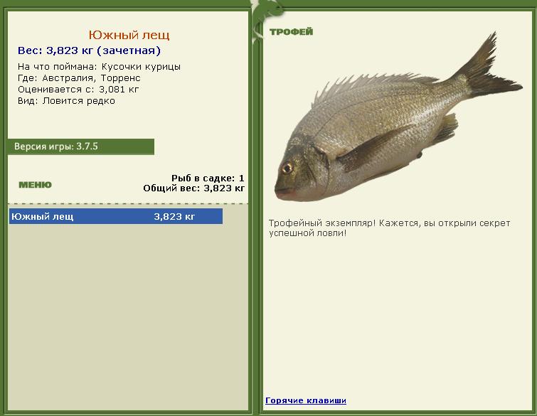 Кроноцкий залив 