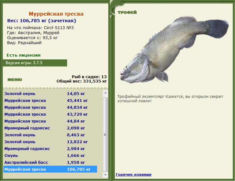 Кроноцкий залив 