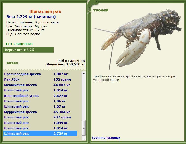 Кроноцкий залив 