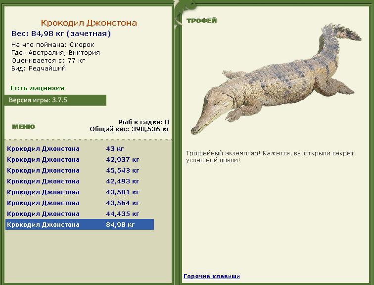 Кроноцкий залив 