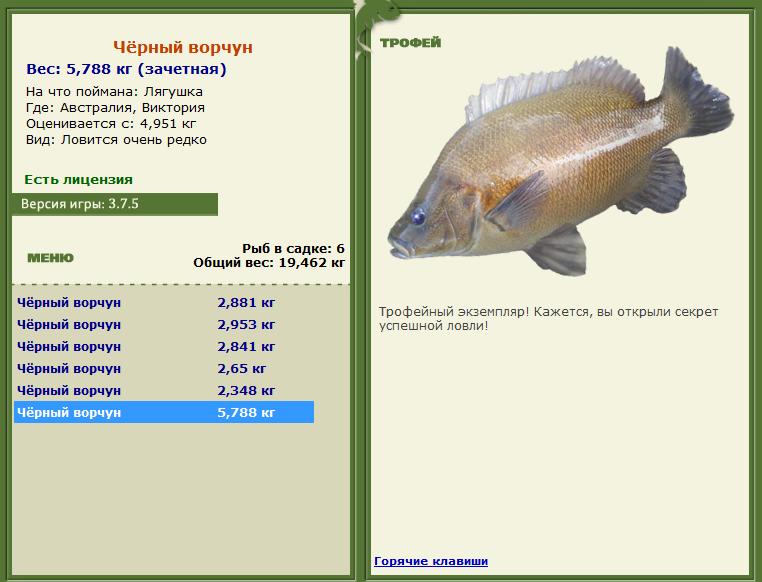 Кроноцкий залив 