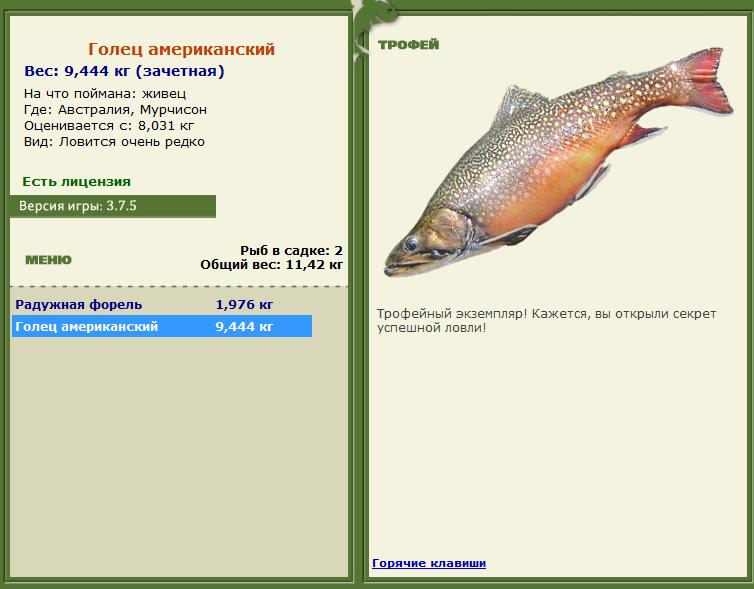Кроноцкий залив 