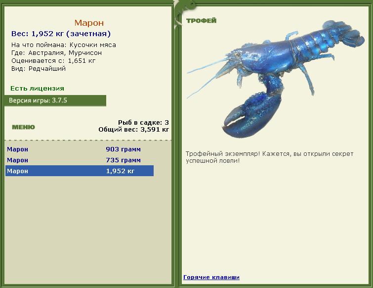 Кроноцкий залив 
