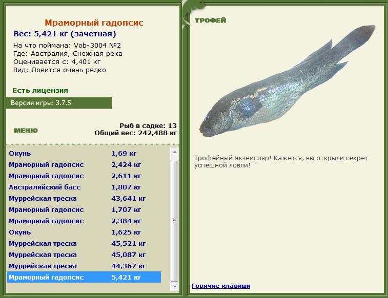 Кроноцкий залив 