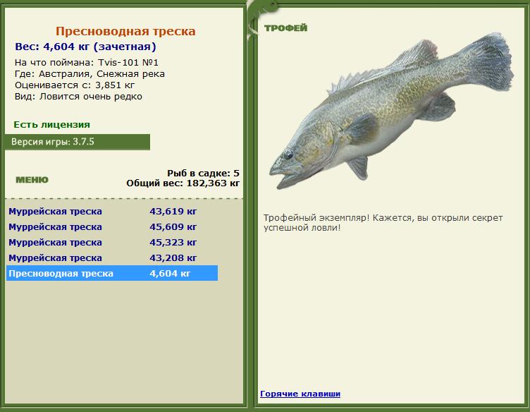 Кроноцкий залив 